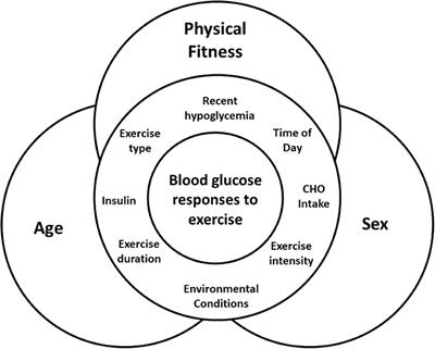 Could Age, Sex and Physical Fitness Affect Blood Glucose Responses to Exercise in Type 1 Diabetes?